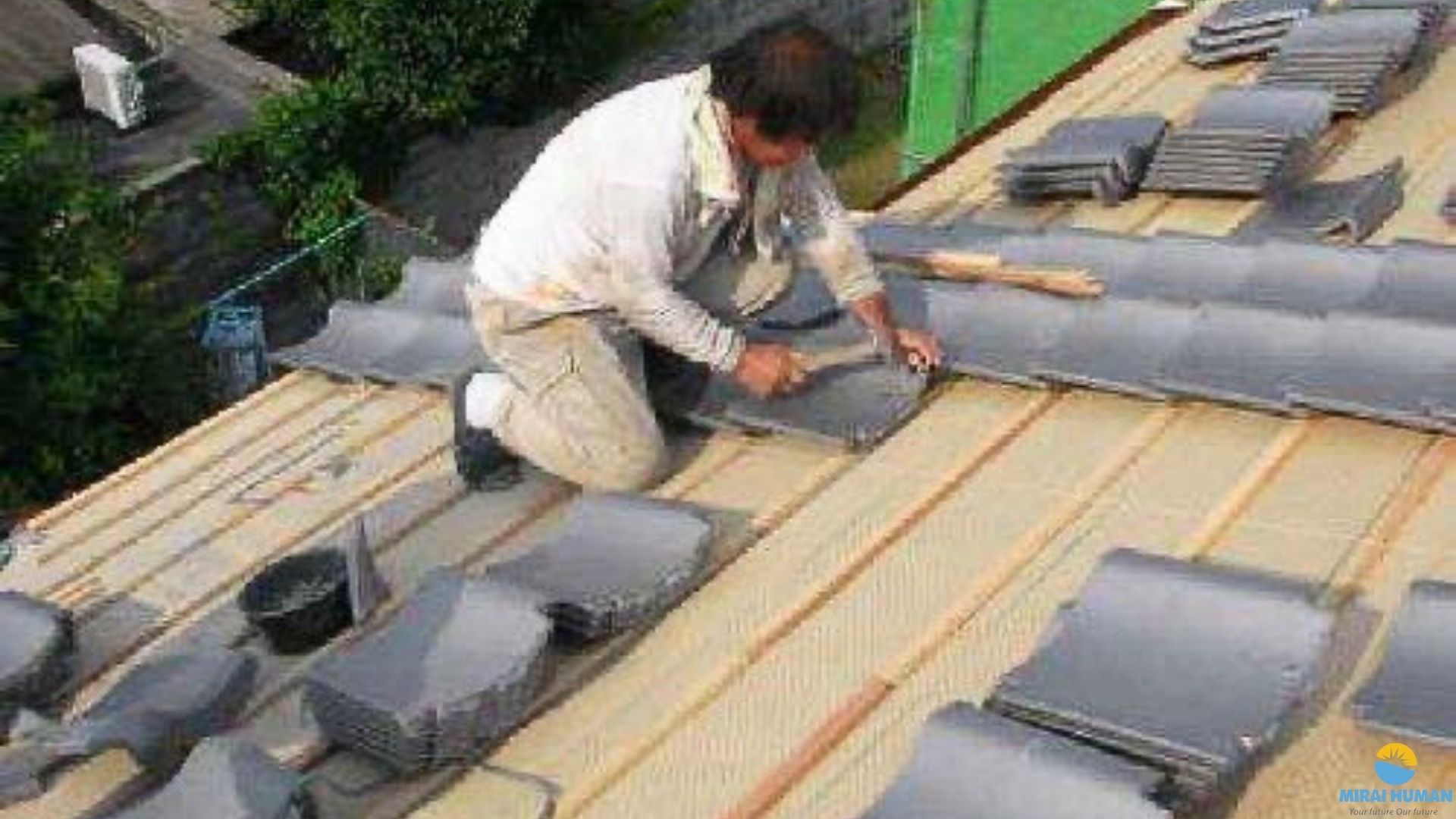 ĐƠN HÀNG LỢP NGÓI - SAITAMA - 18F NAM